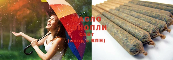 винт Абаза