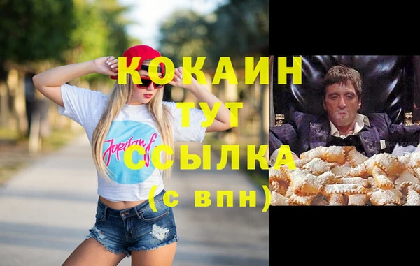 винт Абаза
